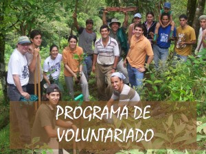 Voluntariado en Costa Rica